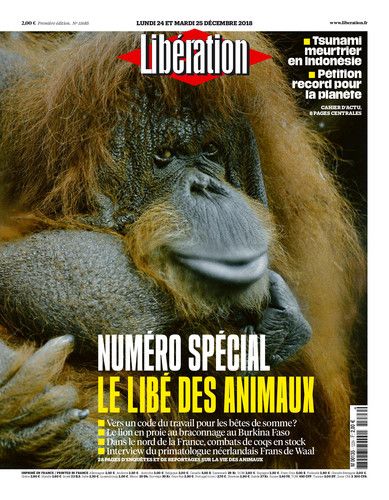 Libération Du Lundi 24 & Mardi 25 Décembre 2018