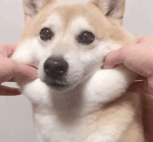 https://zupimages.net/up/18/51/vxjj.gif
