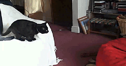 https://zupimages.net/up/18/51/z0n4.gif