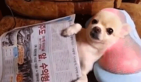 https://zupimages.net/up/18/52/4fyt.gif