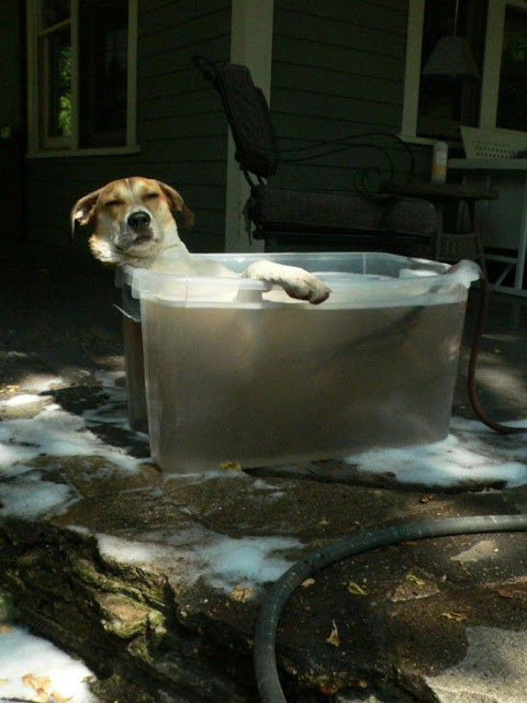 https://zupimages.net/up/18/52/506l.jpg