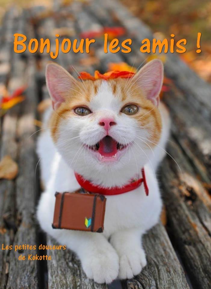 https://zupimages.net/up/19/01/38bp.jpg