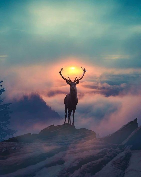 https://zupimages.net/up/19/01/3pc6.jpg