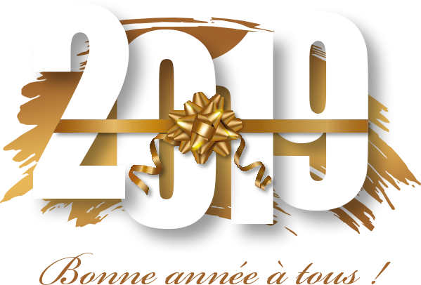 Bonne et heureuse année 2019 Cmzi