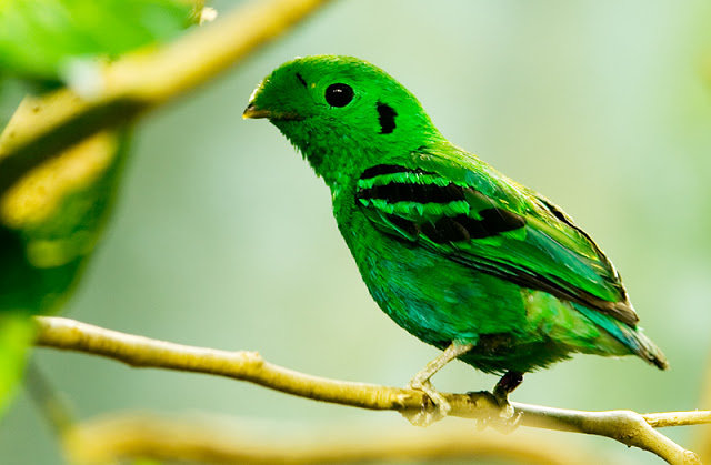 https://zupimages.net/up/19/01/w6h0.jpg