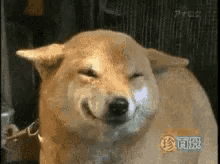 https://zupimages.net/up/19/02/2n2w.gif
