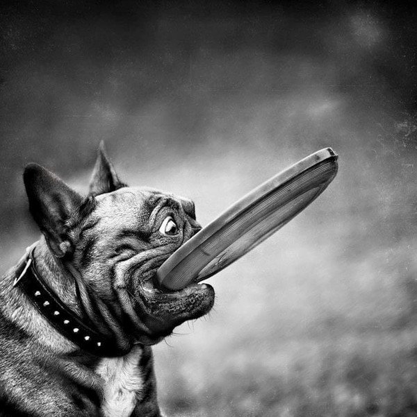 https://zupimages.net/up/19/02/2ukq.jpg