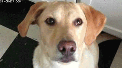 https://zupimages.net/up/19/02/5095.gif