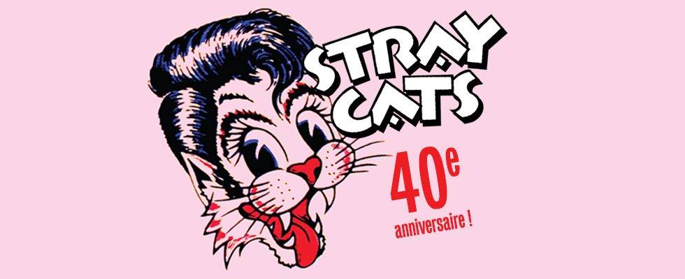 Stray cats 40 ème anniversaire Czt8