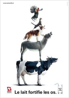 Jigsaw puzzle - f99230676459e2dbe8b8caf2cc9a1c95--selection