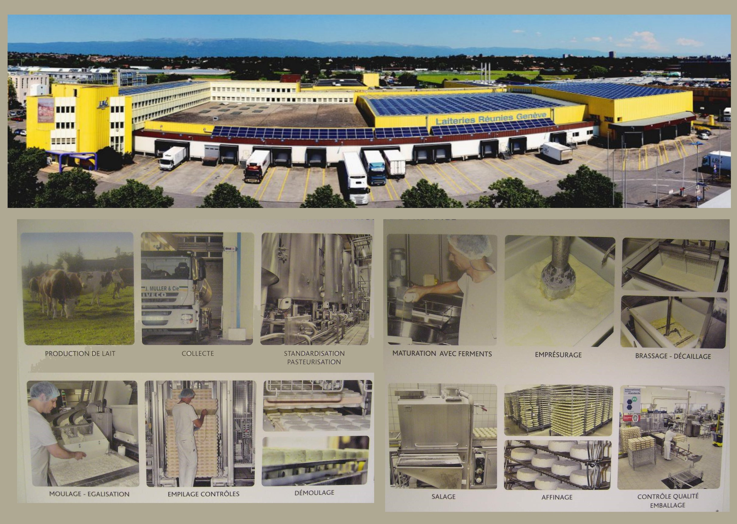 Jigsaw puzzle - f99230676459e2dbe8b8caf2cc9a1c95--selection