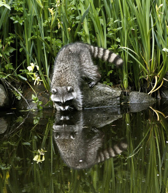 https://zupimages.net/up/19/02/qmxb.jpg