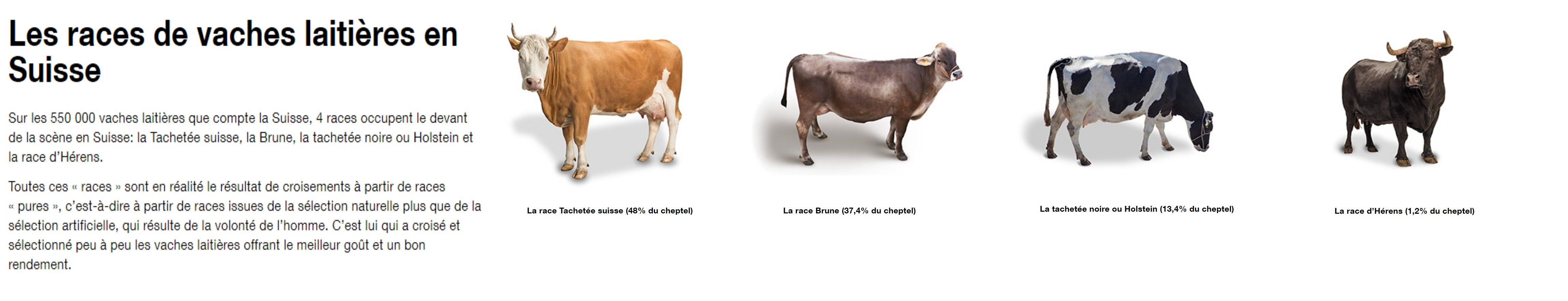 Jigsaw puzzle - f99230676459e2dbe8b8caf2cc9a1c95--selection