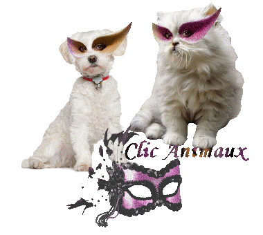 Bouton clic animaux  9brr