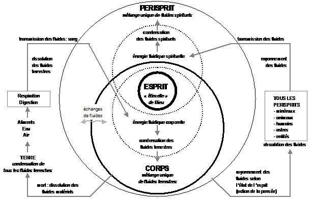 LES PRÉDICTIONS SELON LE SPIRITISME  - Page 3 Sstb