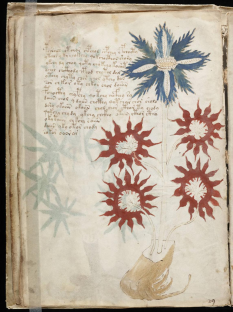 Le plus mystérieux manuscrit du monde 9687
