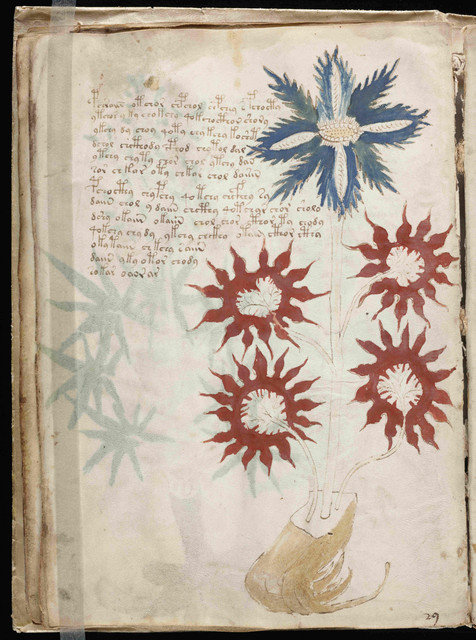 Le plus mystérieux manuscrit du monde De5o