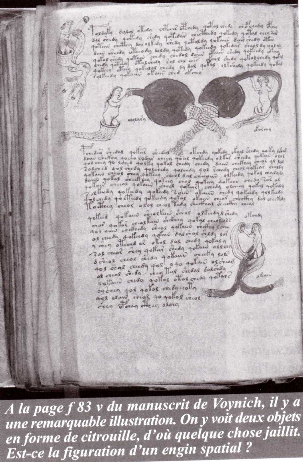 Le plus mystérieux manuscrit du monde Iyr5