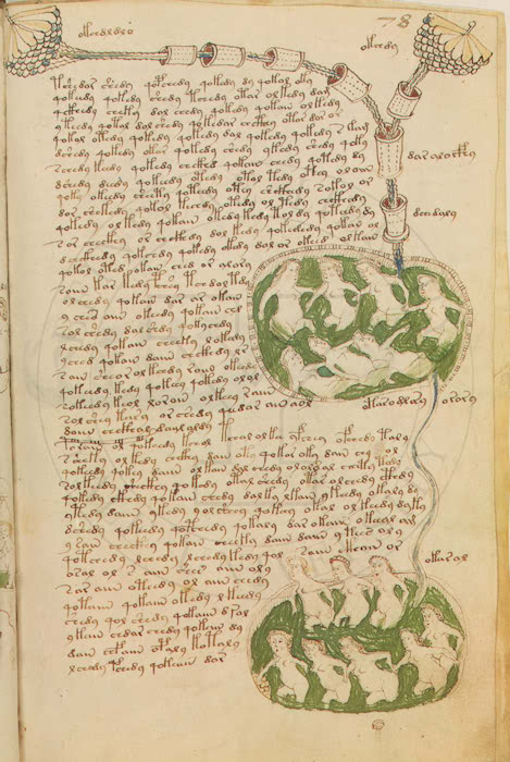 Le plus mystérieux manuscrit du monde Jen8
