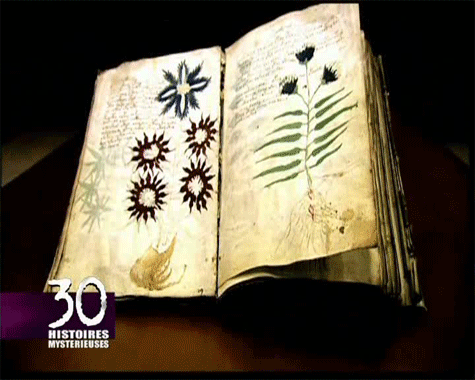 Le plus mystérieux manuscrit du monde K4jw