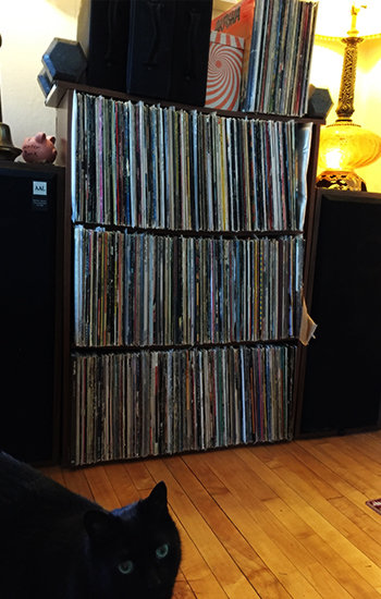 record-collection-natty-nation