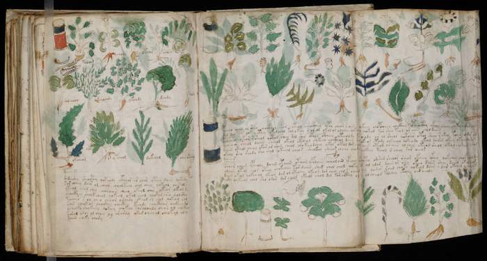 Le plus mystérieux manuscrit du monde Wiud