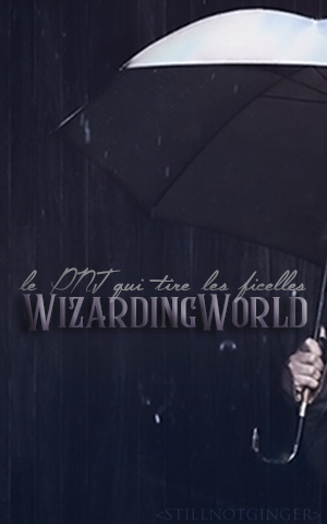 #WizardingWorld
