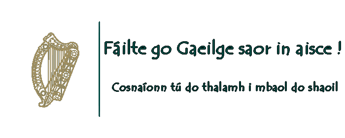 Njáll - Éireannach i gcríoch anaithnid Iaq4
