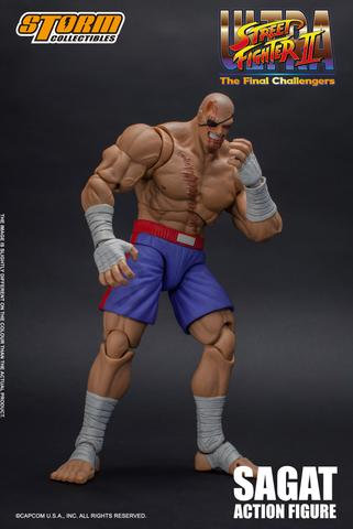 Ultra Street Fighter II : Sagat Action Figure Kewb