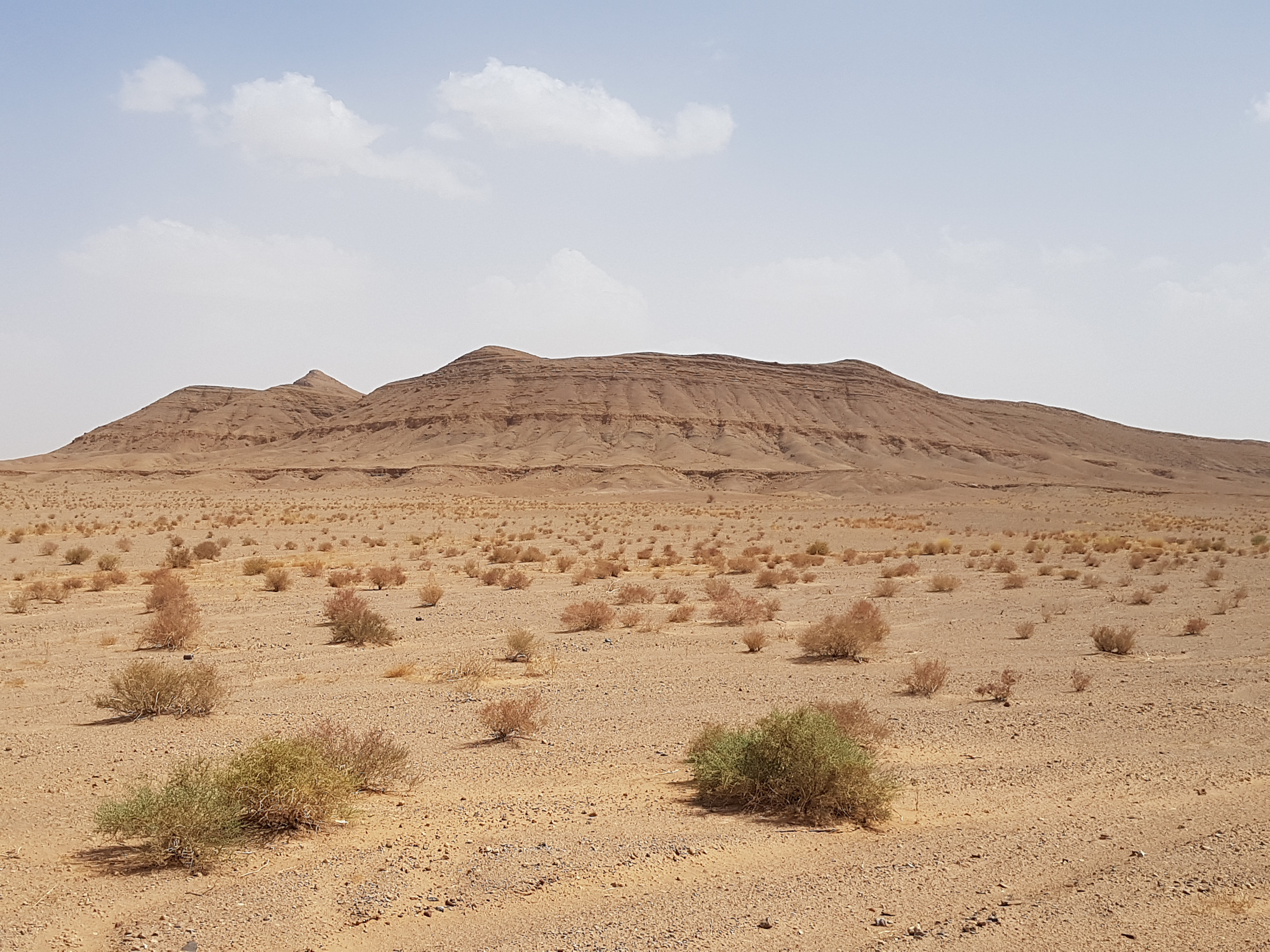 maroc - Le Maroc en Mamies - Page 3 4jvu