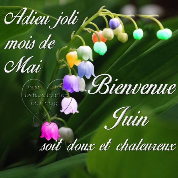 Adieu Mai , Bienvenue Juin....