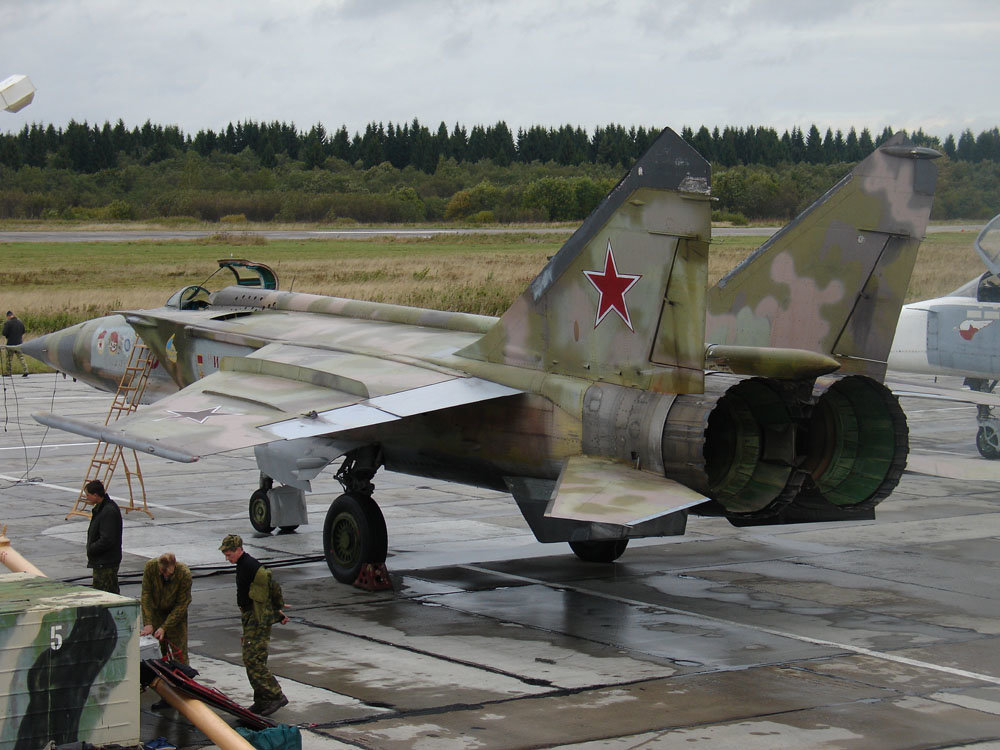 MiG-25BM SEAD Foxbat 1/48 - terminé! Ppl2