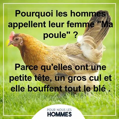 Humour en image du Forum Passion-Harley  ... - Page 25 Sluv