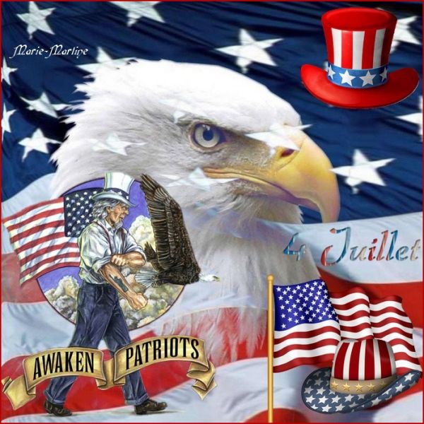 Débardeur Américain 4 Juillet - Motif Humoristique USA | 100% Coton, Coupe Classique