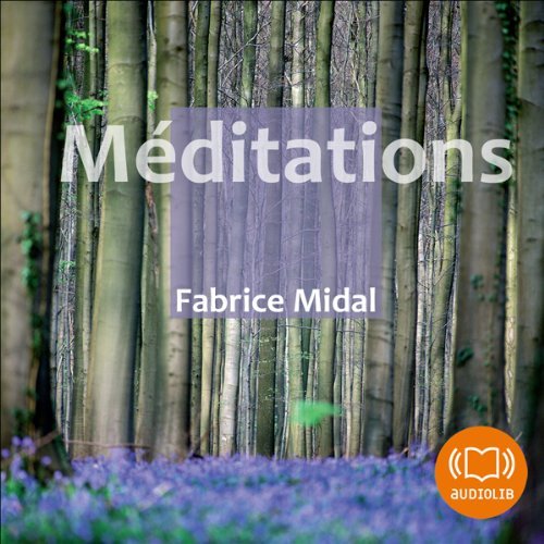 Méditations   Fabrice Midal 