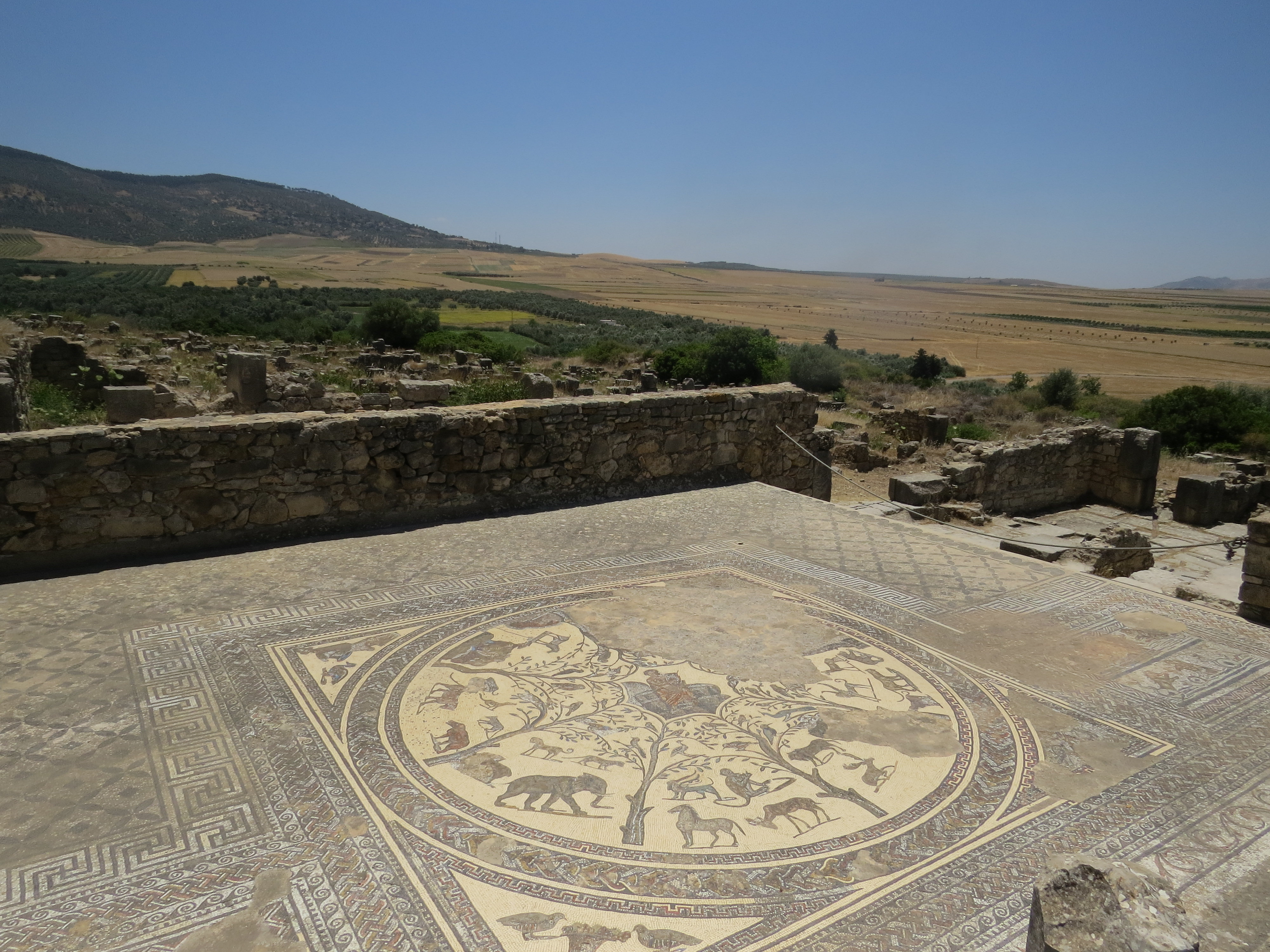 Une mosaique de Volubilis site antique près de Meknès 