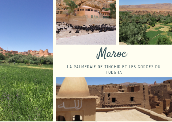 Article de Blog Maroc des gorges de Todra à Tinghir, quel itinéraire