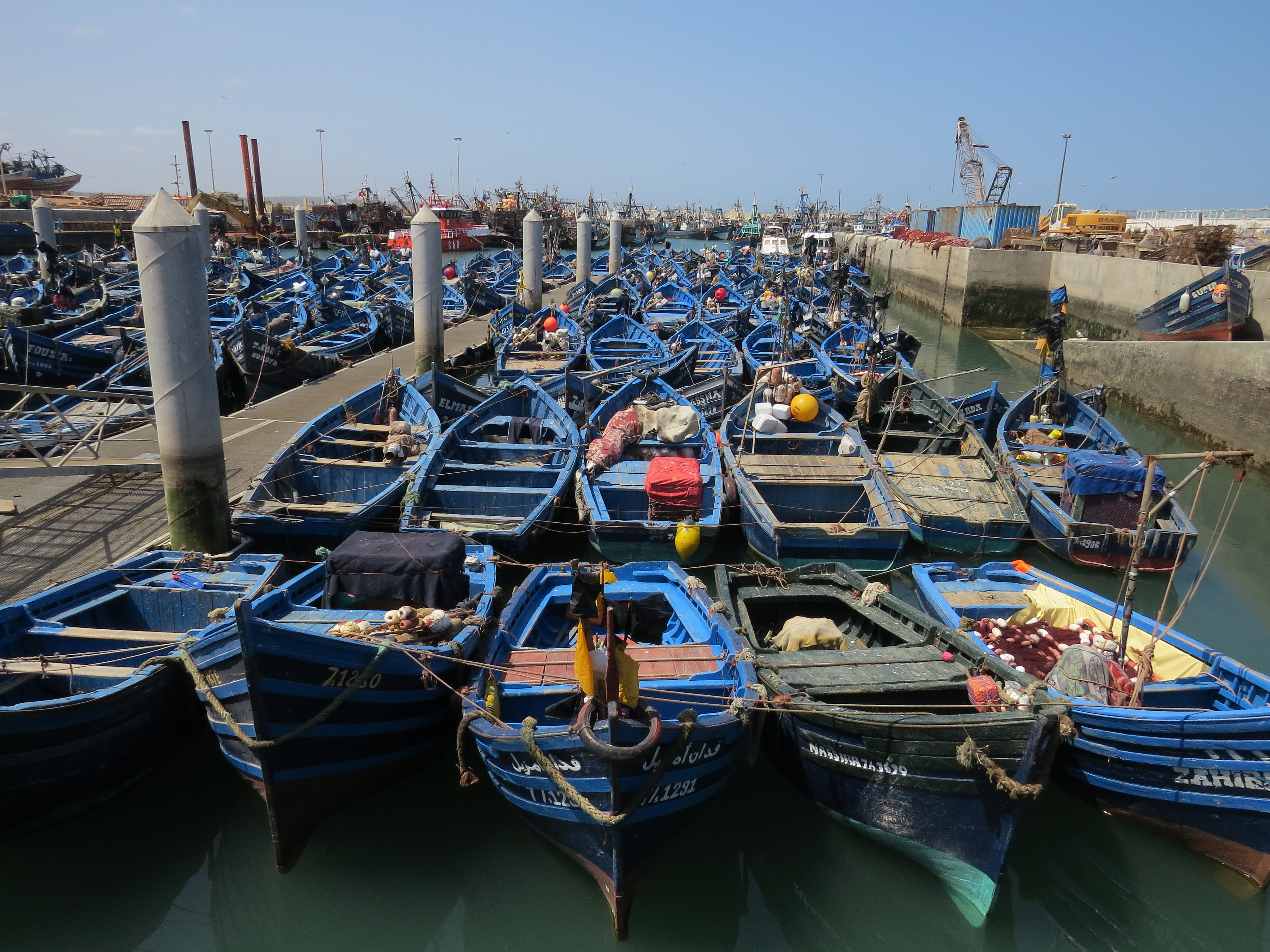 Port d'essaouira et ses bateaux de pêche bleus