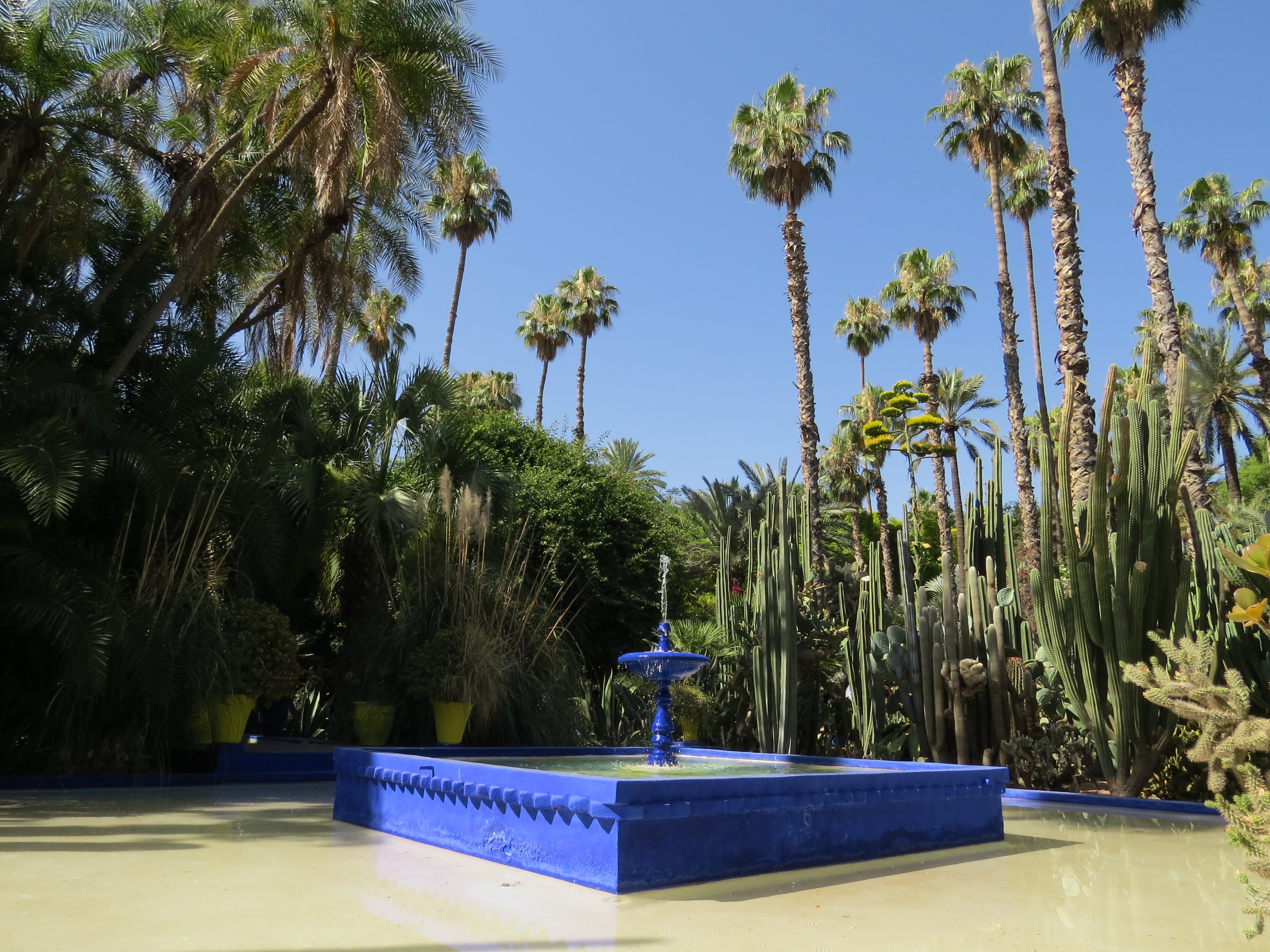Jardin de Majorelle à Marrakech au Maroc