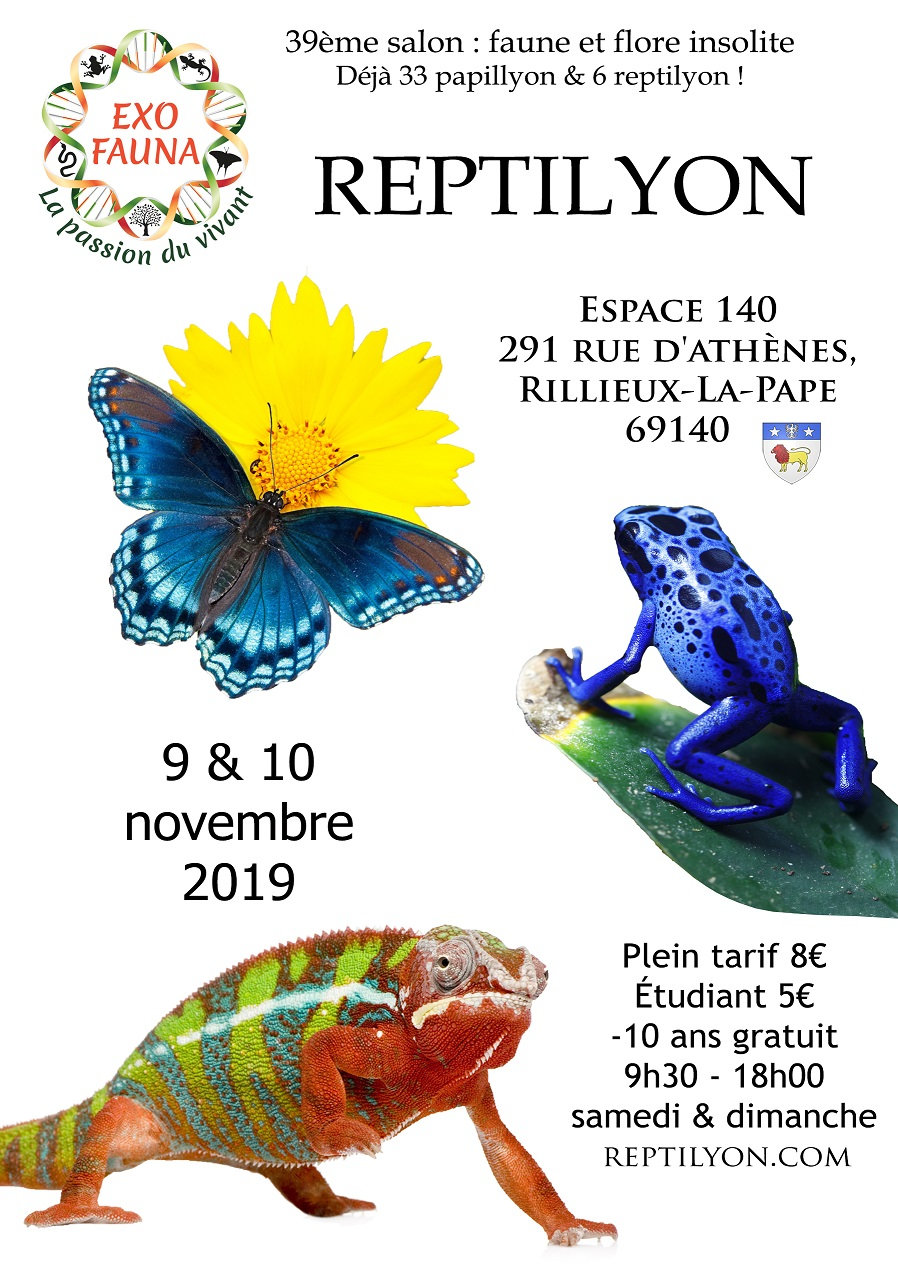 Salon REPTILYON - le 9 et 10 novembre 2019 - Rillieux-la-Pape B55l
