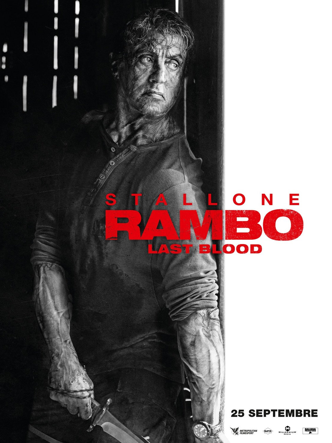 Sorties Ciné : Rambo : Last Blood