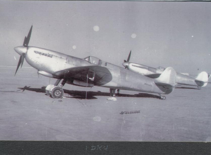 Spit IX 1/48 SAAF Chypre 1944 Ekv5
