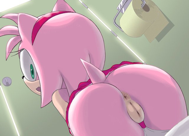 Amy rose with pussy r SonicPorn 