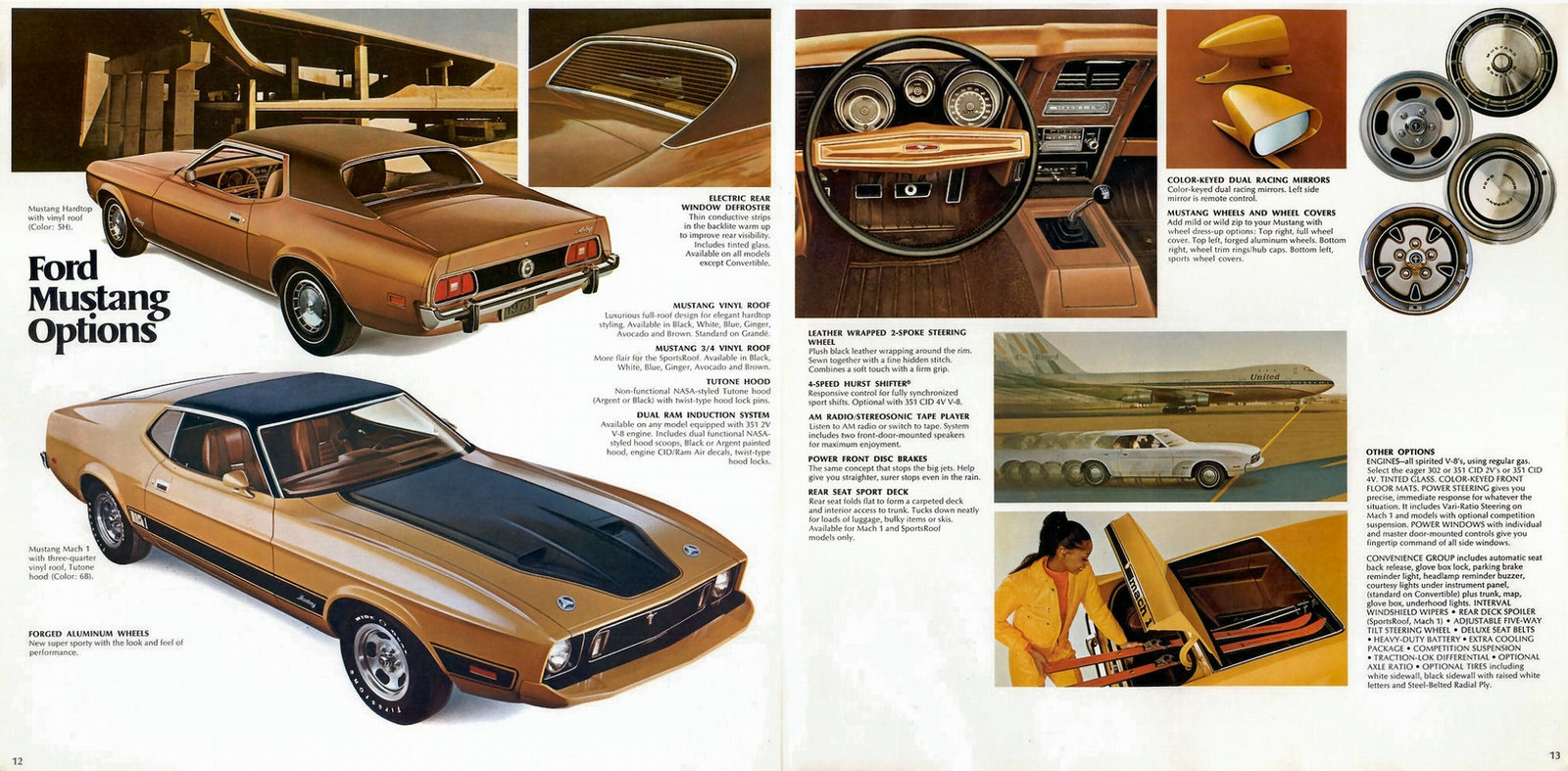 mustang MACH 1 de 1973 de chez AMT / MATCHBOX au 1/25 . - Page 3 Mfos