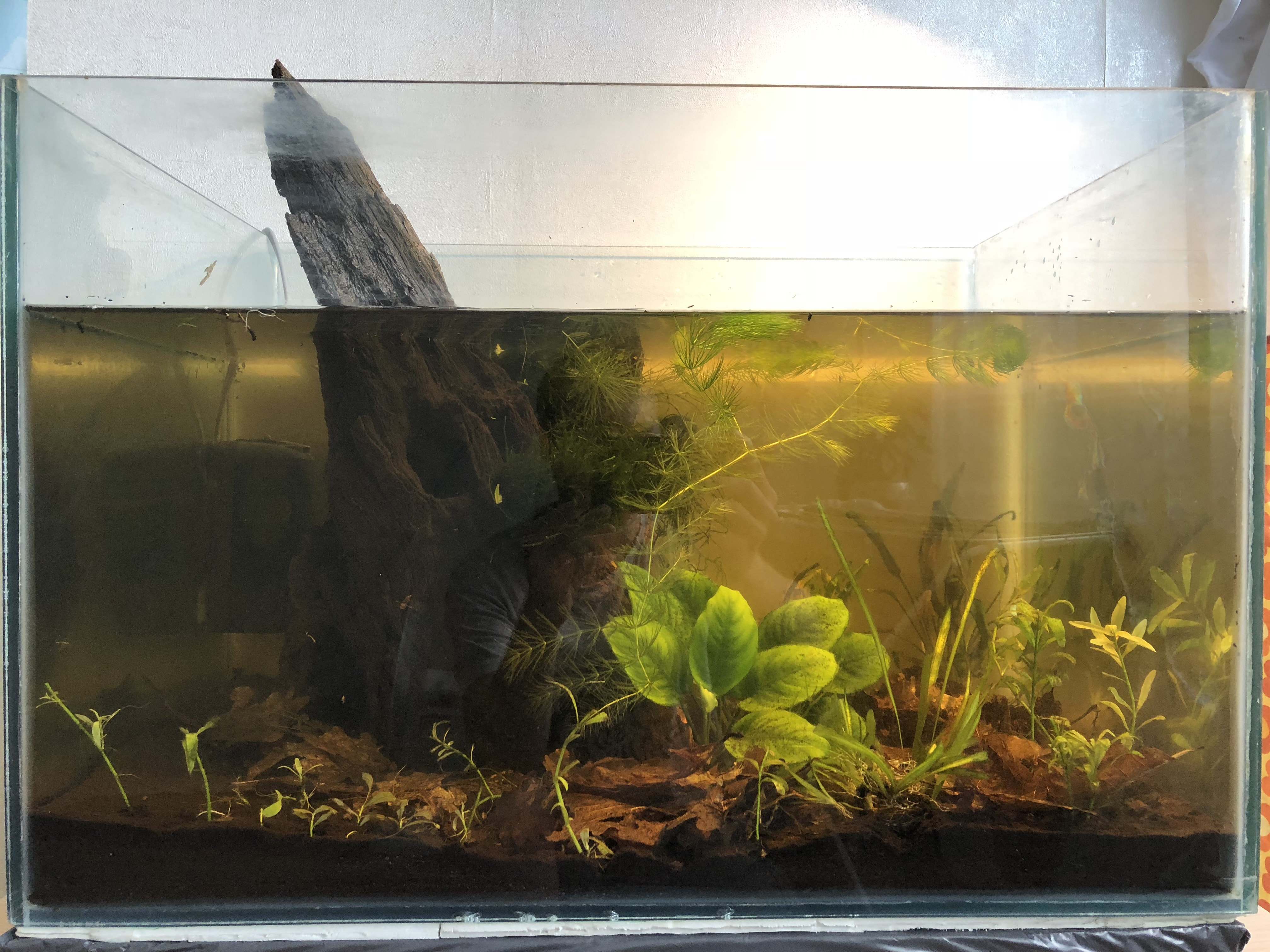 Quelle épaisseur de substrat pour réaliser le fond de mon aquarium ?