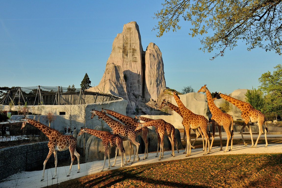 Зоопарк Ménagerie в Париже