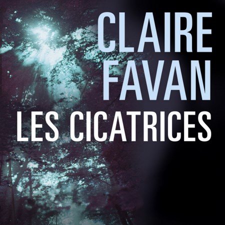 Claire Favan Les Cicatrices