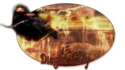 Diagon Alley - La magie de Rowling - Page 2 84uy