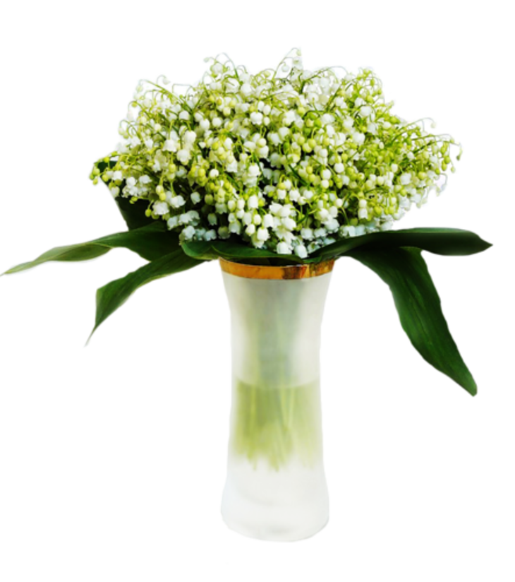 muguet