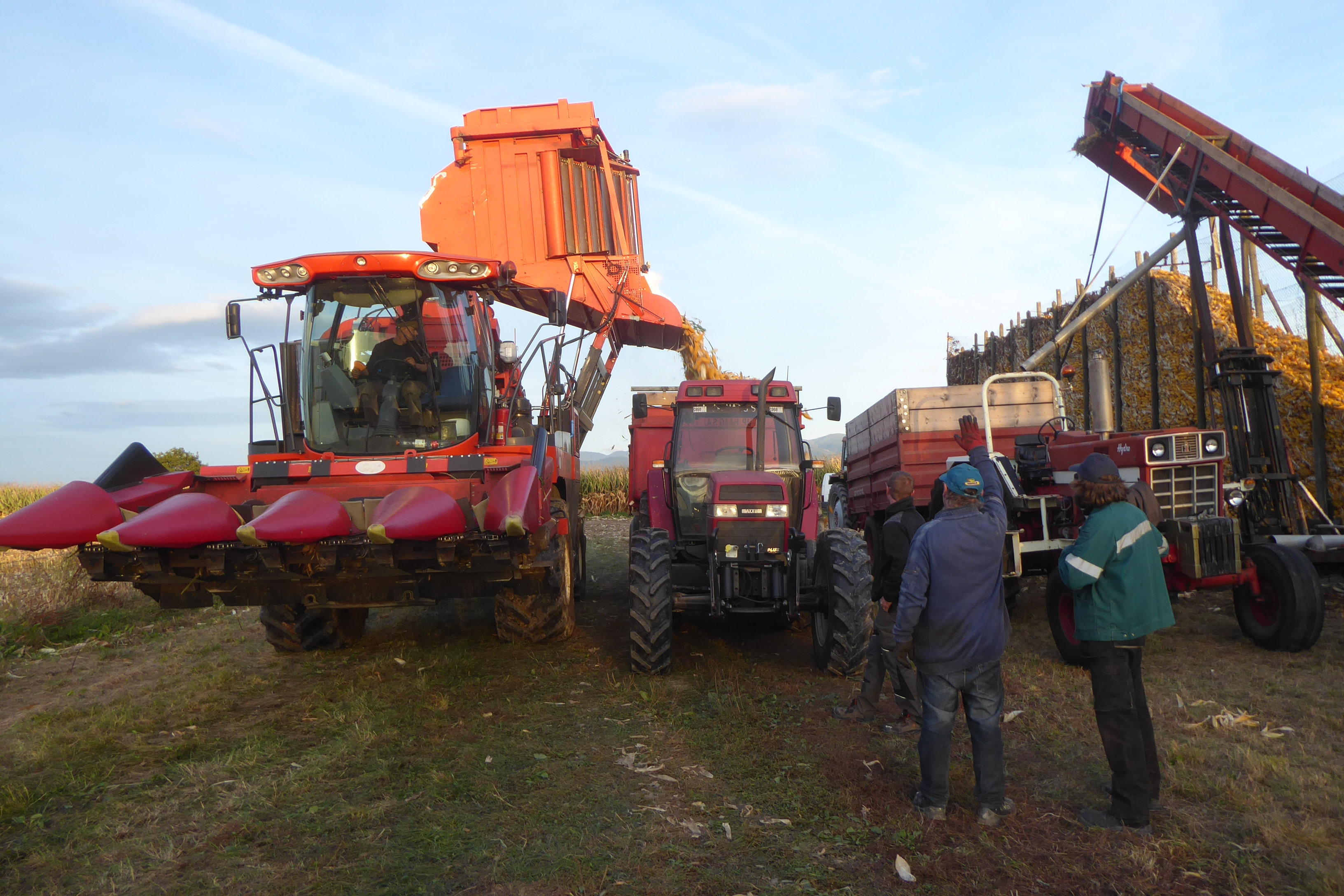 Cornpicker Bourgoin GR10 - Page 2 - Les Tracteurs Rouges